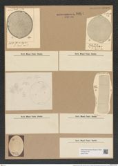 Cerataulus laevis (Ehr.) Ralfs. (de-Toni-Nr.: Genus 173, Species 4435) Zeichnungen Sammlung Grunow Nr. 8004 (NHMW-BOT-W0377300)